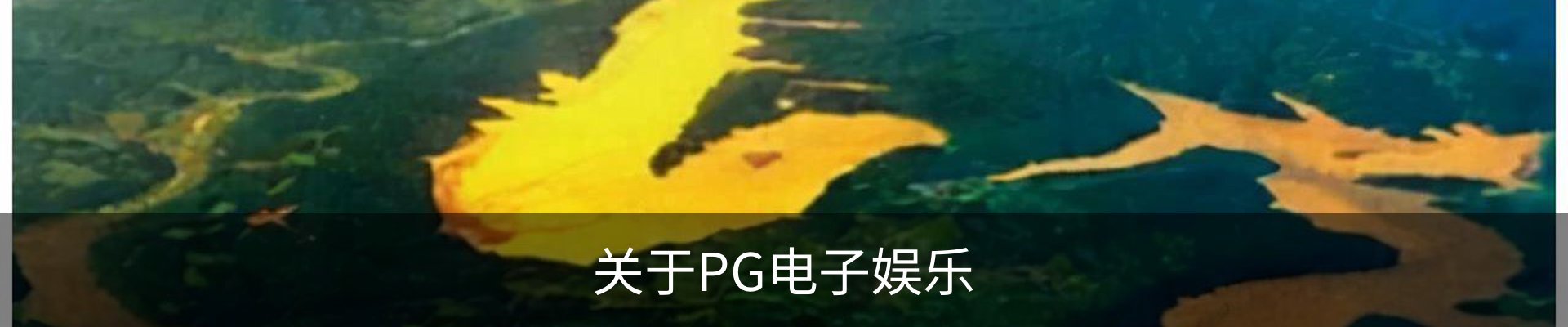 关于PG电子娱乐